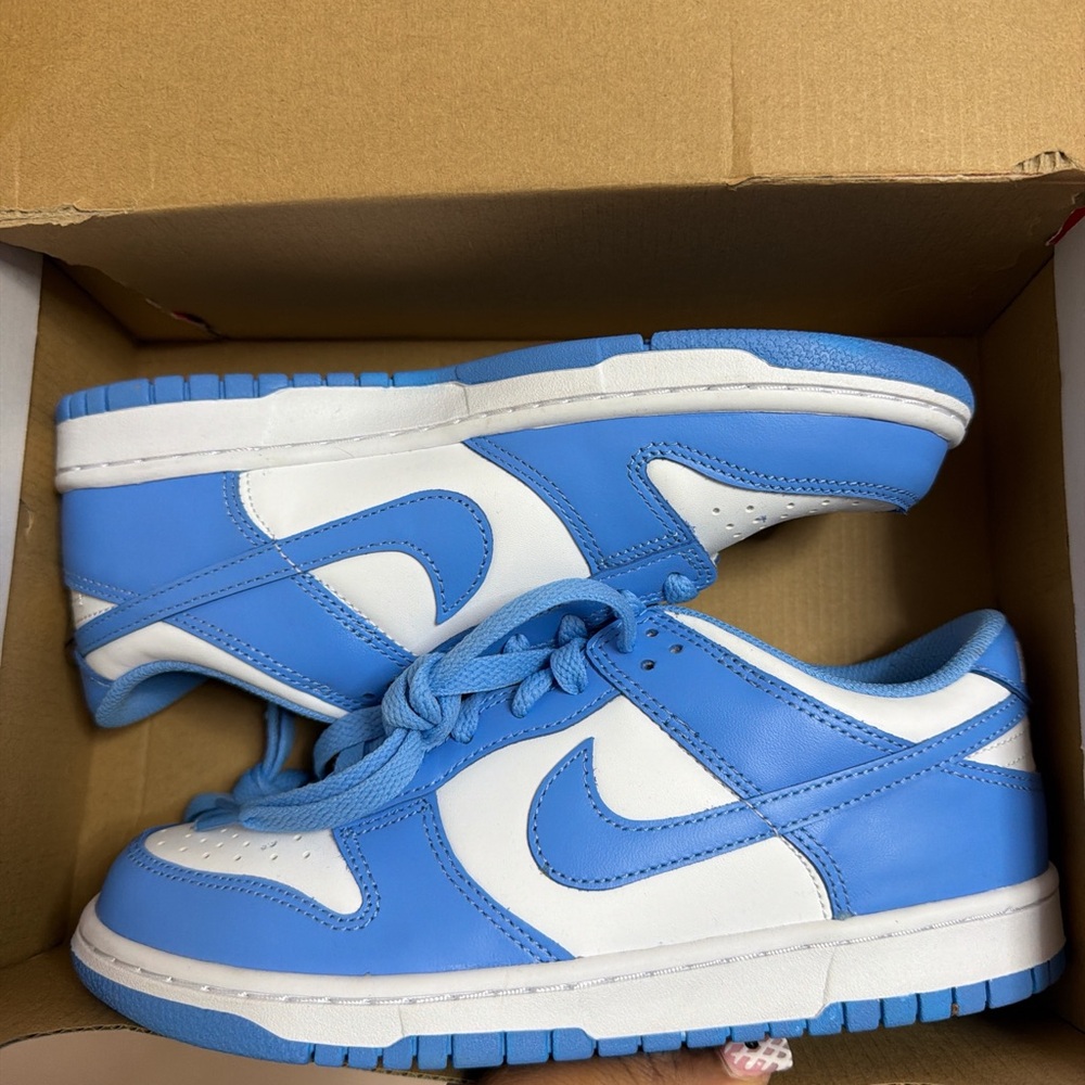 Nike Dunk Low GS in Blue and White